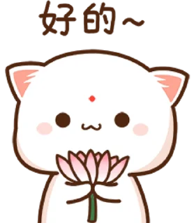 🌺