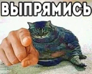 👈