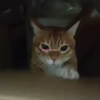📦