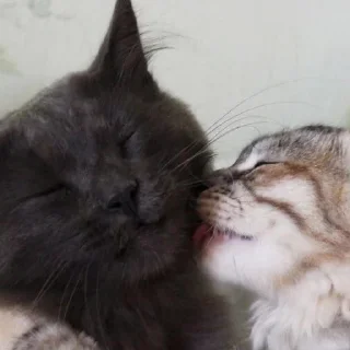❤️