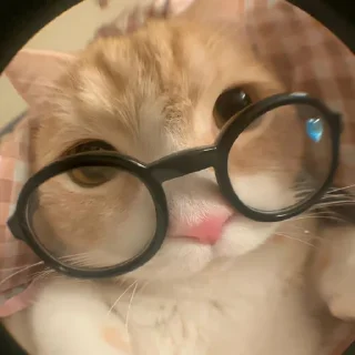 🤓