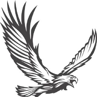 Hawks