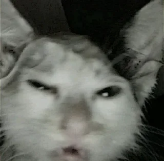 💒
