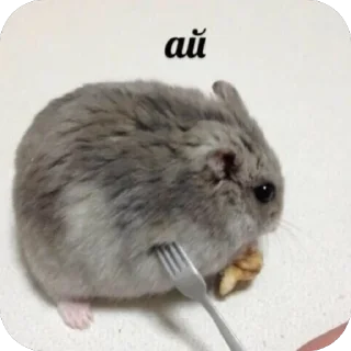 🫥