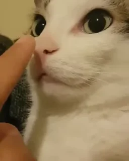 🤫