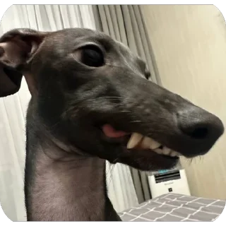 😁