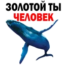 😂