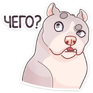 ❓