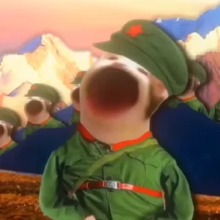 🇨🇳