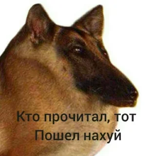 🥳