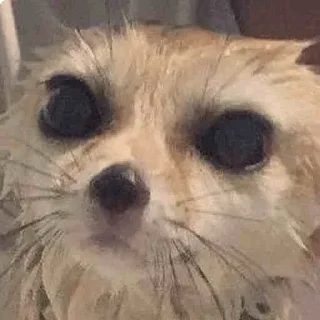 💦