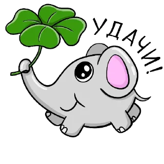 🍀
