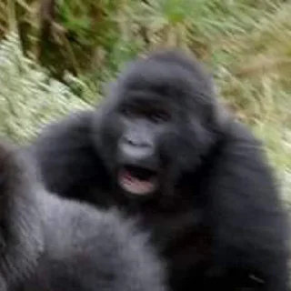 😱