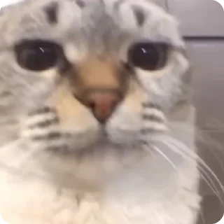 🤨
