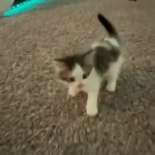 🤪