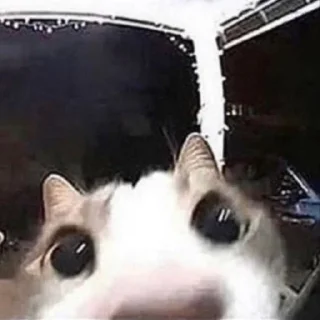 😳