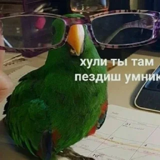 🤓