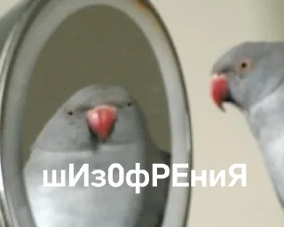 🥴