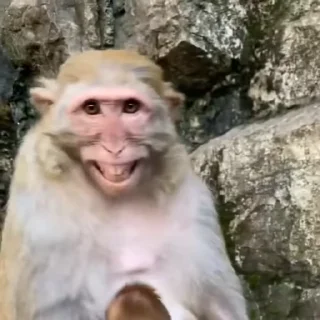 🌟