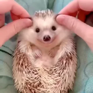 ☺