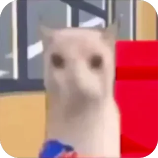 🤩
