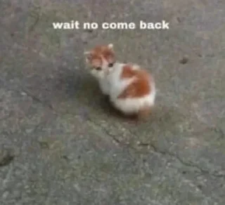 😕