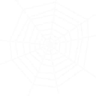 🕷