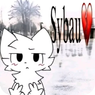 🐱