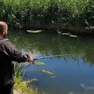 🎣