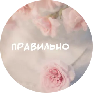 ✅