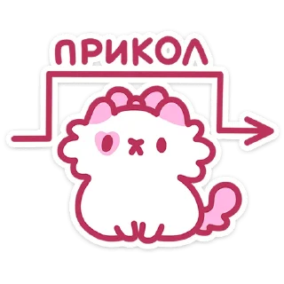 🐱