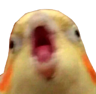 😱
