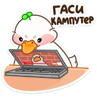 💻