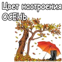🍁