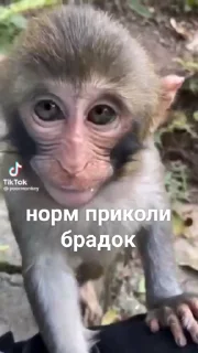 😮‍💨