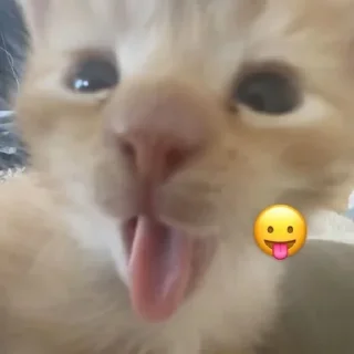 😛