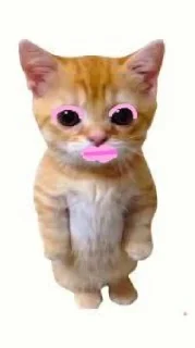 🤩