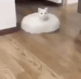 🫧
