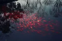 ❣