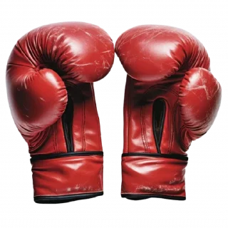 🥊