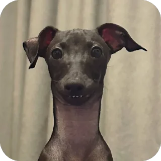 🥰