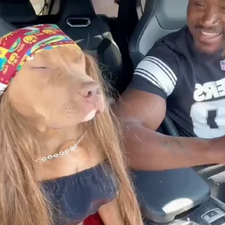 🐕