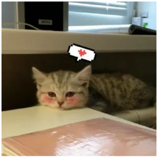 🎱