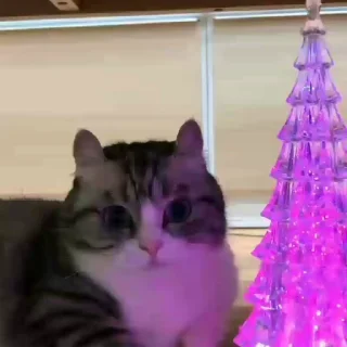 🎄
