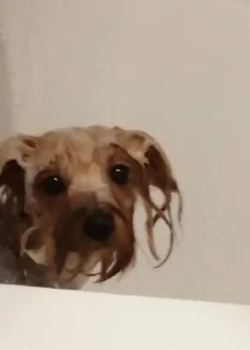 ☹️