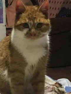 😠