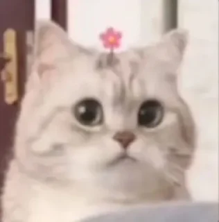 🙁
