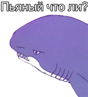 Memes @stickersb2b