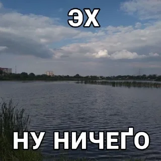 🧂