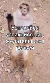 🤩